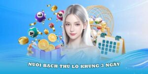 Giới thiệu lô bạch thủ khung 3 ngày là gì?