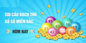 Soi cầu bạch thủ lô